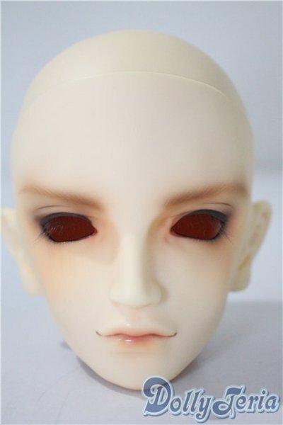 画像1: SD/フルチョイスF-50ヘッド U-25-05-13-214-TN-ZU (1)