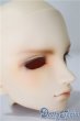 画像2: SD/フルチョイスF-50ヘッド U-25-05-13-214-TN-ZU (2)