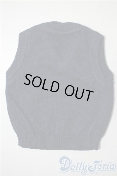 画像2: SDM＆MSD/OF:トップス　ベスト U-25-05-20-028-KD-ZU (2)