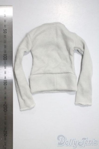 画像2: SDM＆MSD/OF:トップス U-25-05-20-133-TN-ZU (2)