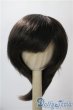 画像1: 9-10inch/ウィッグ U-25-06-05-028-TN-ZU (1)