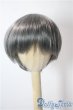 画像1: 9-10inch/ウィッグ U-25-06-05-160-TN-ZU (1)