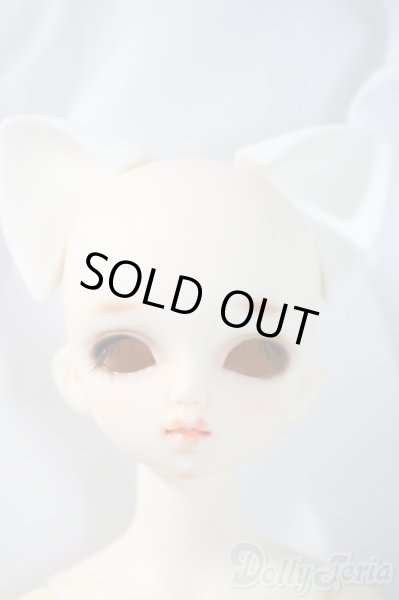 画像1: SDM女の子/フルチョイスF-18 U-25-06-05-213-TN-ZU (1)