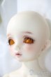 画像3: SDM女の子/コーディネートモデルF-50 U-25-06-05-212-TN-ZU (3)