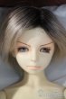 画像1: SD13男の子/教室Aヘッド U-25-06-05-217-TN-ZU (1)