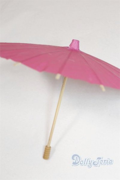 画像2: SD&DD/和傘 U-25-06-17-281-TN-ZU (2)