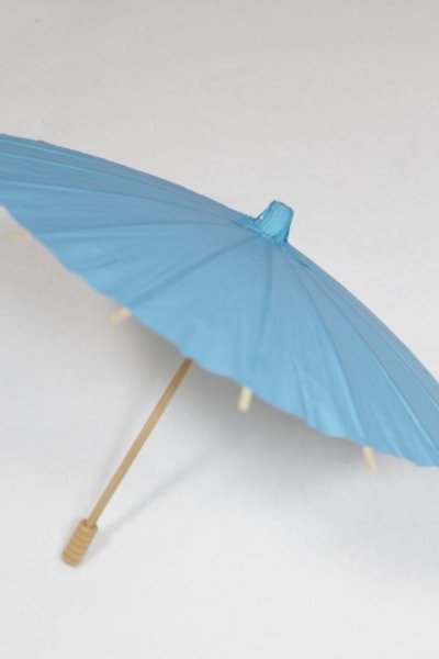 画像2: SD＆DD/和傘 U-25-06-24-221-TN-ZU (2)