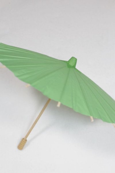 画像2: SD＆DD/和傘 U-25-06-24-222-TN-ZU (2)