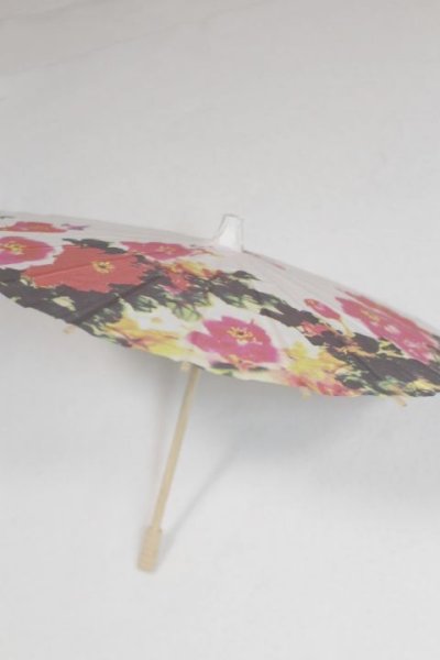 画像2: SD＆DD/和傘 U-25-06-24-226-TN-ZU (2)