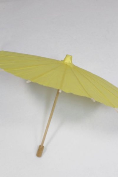 画像2: SD＆DD/和傘 U-25-06-24-227-TN-ZU (2)