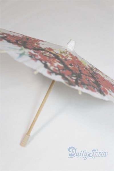 画像2: SD＆DD/和傘 U-25-07-01-238-TN-ZU (2)