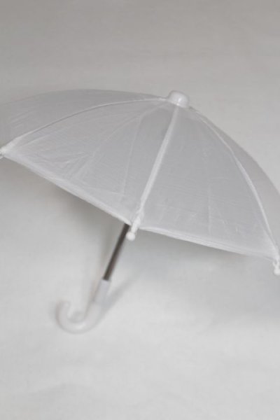 画像2: SD/OF：ビニール傘 U-25-06-24-256-TN-ZU (2)