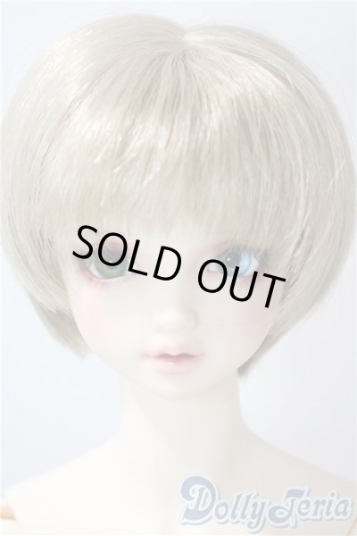 画像1: SDGrB/フルチョイスF-59：オーダーメイク U-25-06-17-215-KD-ZU (1)