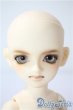 画像2: 幼SD男の子/南条勲×サイボーグ009　本体 U-25-06-17-210-KD-ZU (2)