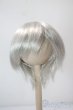 画像1: 7-8inch/ウィッグ U-25-06-17-112-KD-ZU (1)