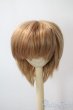 画像1: 9-10inch/ウィッグ U-25-06-24-020-TN-ZU (1)
