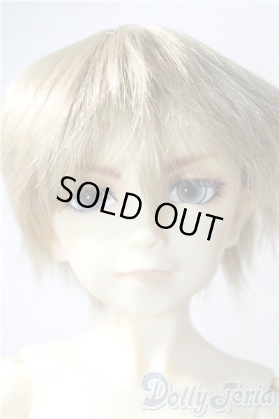 画像1: SD/F-17ヘッド　フルチョイス U-25-06-24-220-TN-ZU (1)