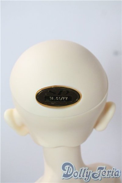 画像4: SD/F-17ヘッド　フルチョイス U-25-06-24-220-TN-ZU (4)