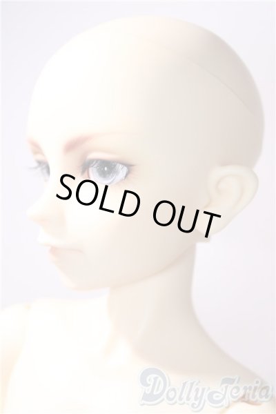 画像4: SD/F-17ヘッド　フルチョイス U-25-06-24-220-TN-ZU (4)