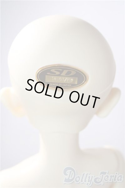 画像5: SD/F-17ヘッド　フルチョイス U-25-06-24-220-TN-ZU (5)