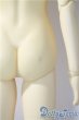 画像7: SD女の子/スタンダードくん U-25-07-01-211-TN-ZU (7)