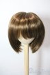 画像1: 8-9inch/ウィッグ U-25-07-01-121-KD-ZU (1)