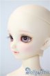 画像3: SDM女の子/コーディネートモデルF-58 U-25-07-08-216-TN-ZU (3)