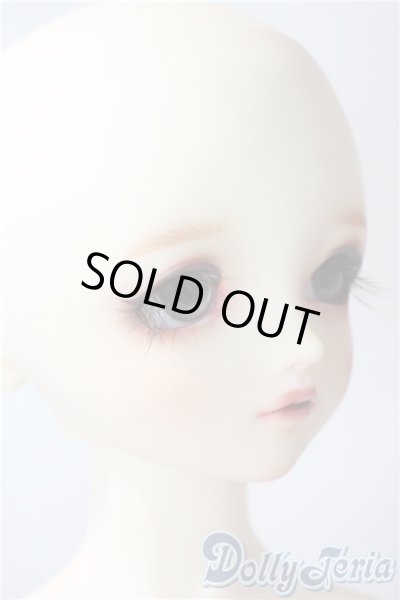 画像3: SDGIRL/シャルロッテ Galerie de l'esprit 2021 秋冬Ver. U-25-07-01-208-TN-ZU (3)