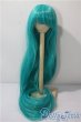 画像1: 9inch/ウィッグ：DOLLCE製 U-25-07-08-108-KD-ZU (1)
