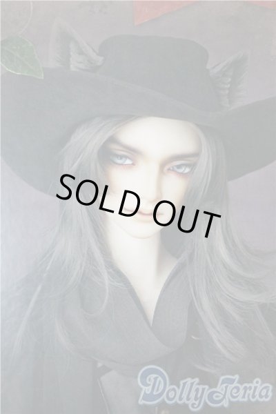 画像1: SD17男の子/Ludo〜the Grey Tail〜灰白狼のルド U-25-07-08-218-KD-ZU (1)