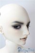 画像3: SD17男の子/Ludo〜the Grey Tail〜灰白狼のルド U-25-07-08-218-KD-ZU (3)
