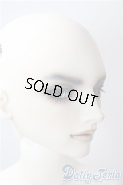 画像3: SD17男の子/Ludo〜the Grey Tail〜灰白狼のルド U-25-07-08-218-KD-ZU (3)