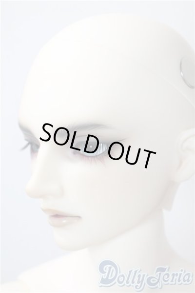 画像4: SD17男の子/Ludo〜the Grey Tail〜灰白狼のルド U-25-07-08-218-KD-ZU (4)