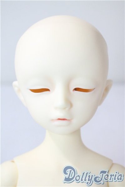 画像1: SDM女の子/フルチョイスF-42 U-25-07-08-211-TN-ZU (1)
