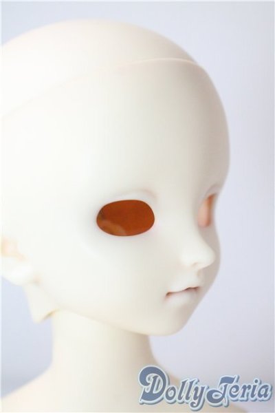 画像2: SDM/F-40　フルチョイス U-25-07-08-212-TN-ZU (2)