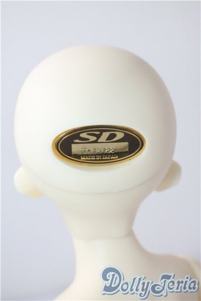 画像4: SDM/F-40　フルチョイス U-25-07-08-212-TN-ZU (4)