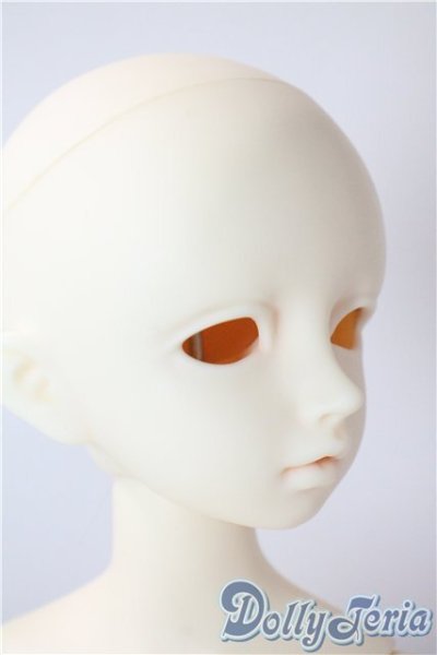 画像2: SDM/F-20：コーディネートモデル U-25-07-08-213-TN-ZU (2)