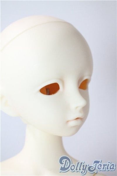 画像2: SDM/F-20：コーディネートモデル U-25-07-15-211-TN-ZU (2)