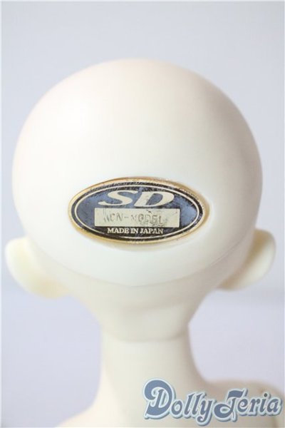 画像4: SDM/F-20：コーディネートモデル U-25-07-15-211-TN-ZU (4)