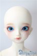 画像1: SD女の子/F-60:フルチョイス U-25-07-08-219-TN-ZU (1)
