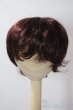 画像1: 8〜9inch/モヘアウィッグ：KamR様製 U-25-07-15-063-TN-ZU (1)