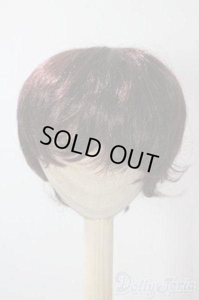 画像1: 8〜9inch/モヘアウィッグ：KamR様製 U-25-07-15-063-TN-ZU (1)