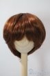 画像1: 8-9inch/ウィッグ U-25-07-15-073-TN-ZU (1)