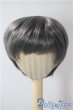 画像1: 8-9inch/ウィッグ U-25-07-15-055-TN-ZU (1)