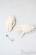 画像1: Dikadoll/1/4 jointed hand parts U-25-07-15-076-TO-ZU (1)