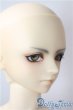 画像2: SDGrB/フルチョイスF-55 U-25-07-22-211-TO-ZU (2)