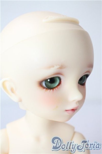 画像3: 幼天使/椿 U-25-07-22-216-TN-ZU (3)