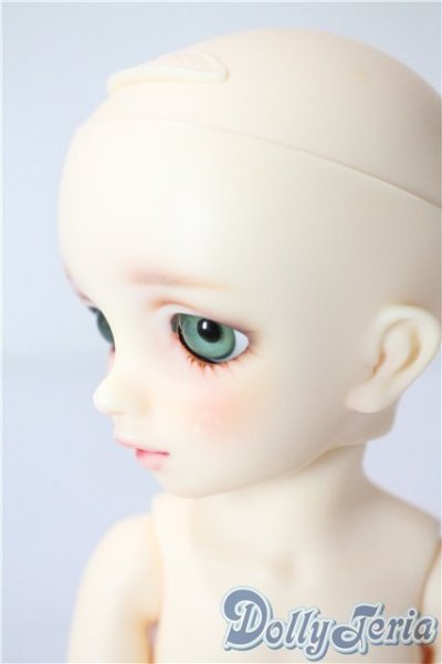 画像4: 幼天使/椿 U-25-07-22-216-TN-ZU (4)