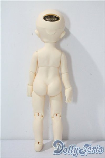 画像7: 幼天使/椿 U-25-07-22-216-TN-ZU (7)