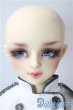 画像1: SDGr/ワンオフ水銀燈Saifa様 U-25-07-22-217-TN-ZU (1)
